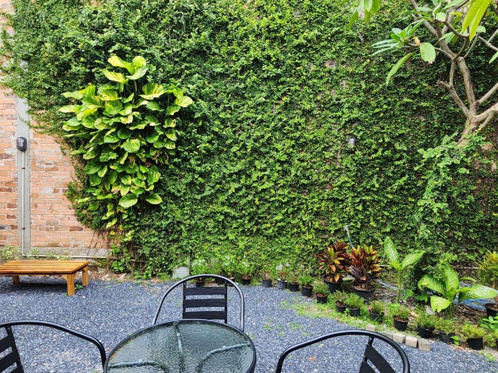 Zahrada ubytování RYB Hostel Phuket