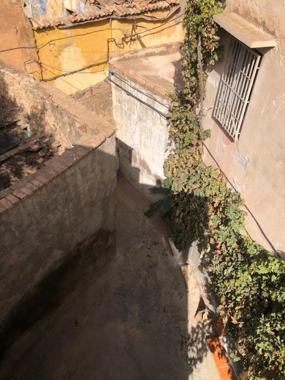 Gallery image of La maison des oiseaux in Tlemcen