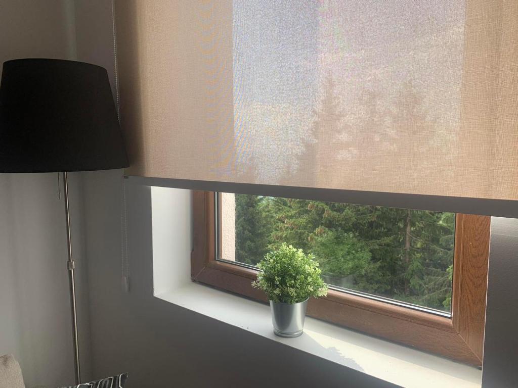 APARTMAN broj 9, SUNCANI BREG RESORT & SPA - Resim 15