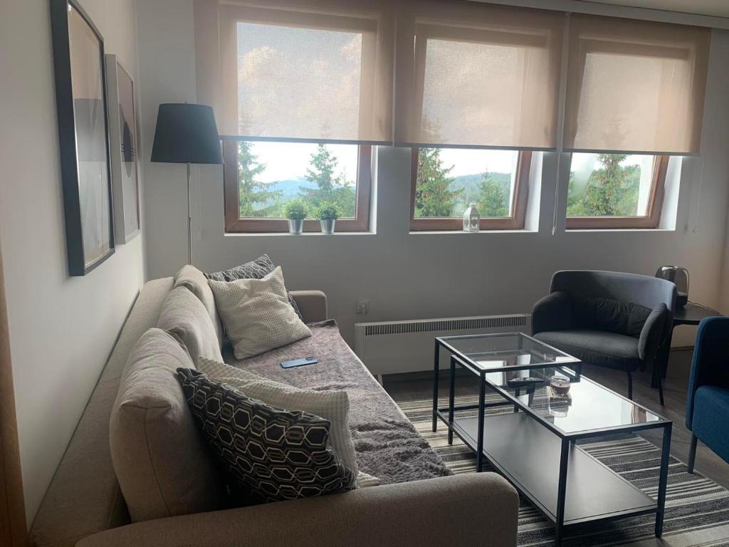 APARTMAN broj 9, SUNCANI BREG RESORT & SPA - Resim 21