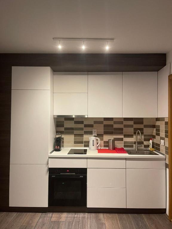 APARTMAN broj 9, SUNCANI BREG RESORT & SPA - Resim 25