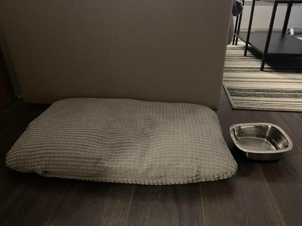 APARTMAN broj 9, SUNCANI BREG RESORT & SPA - Resim 26