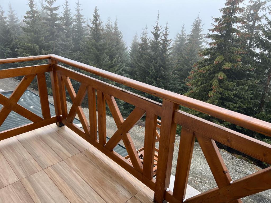 APARTMAN broj 9, SUNCANI BREG RESORT & SPA - Resim 7