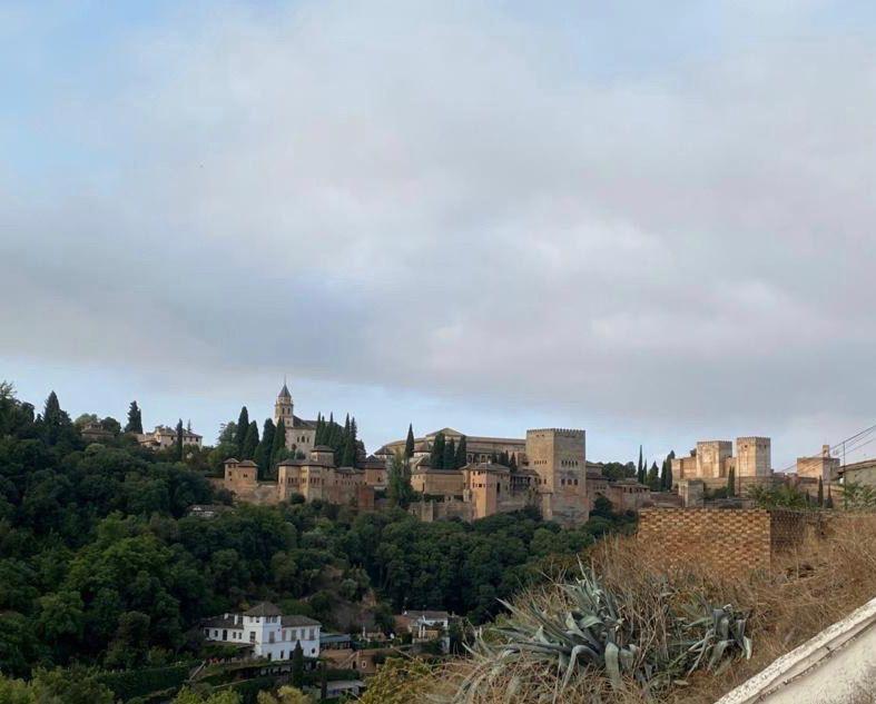 une ville au sommet d'une colline avec des bâtiments dans l'établissement Casa Cueva Sacromonte BeneVarez Brother Law SL, à Grenade