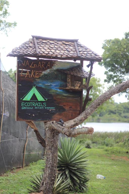Příroda nedaleko luxury tent