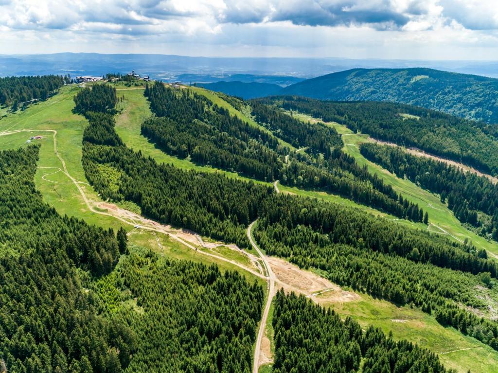 Příroda nedaleko apartmánu