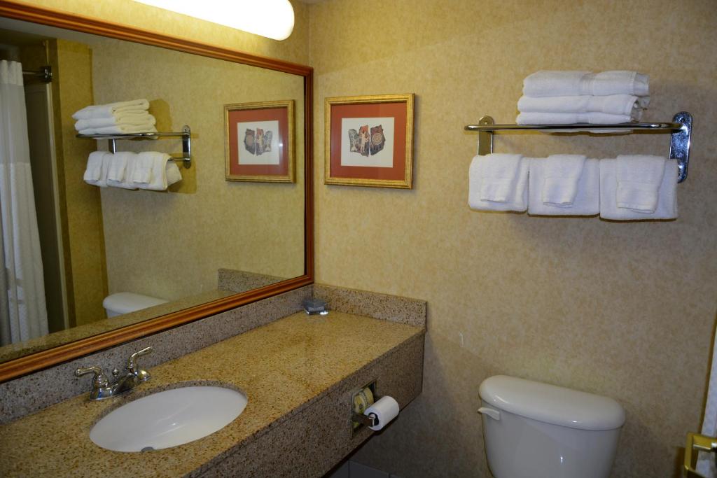 Wingate by Wyndham West Monroe - King Suite