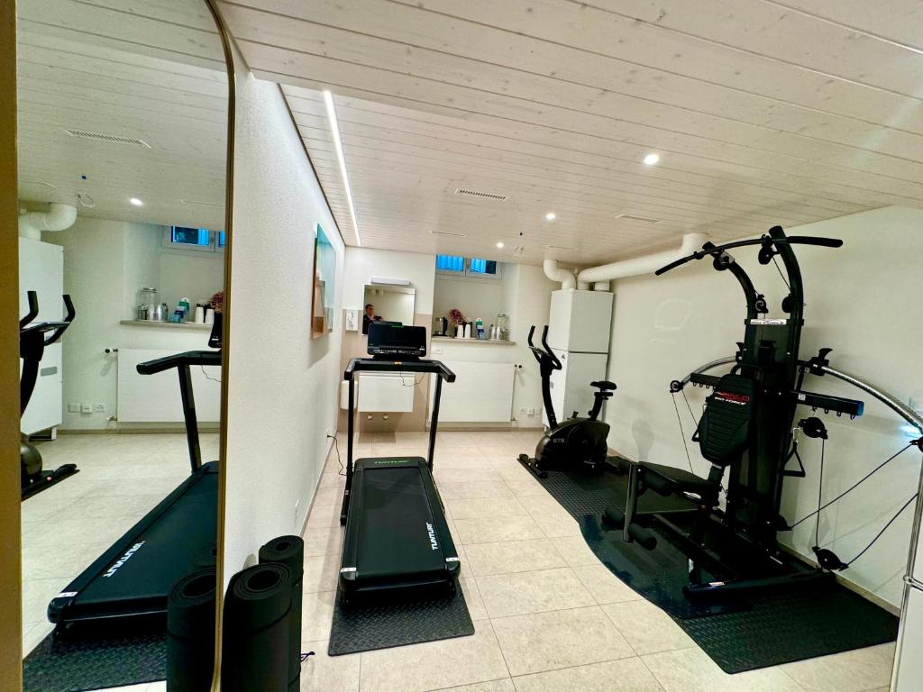 Fitness centrum a/nebo fitness zařízení v ubytování Residence Mutschellen