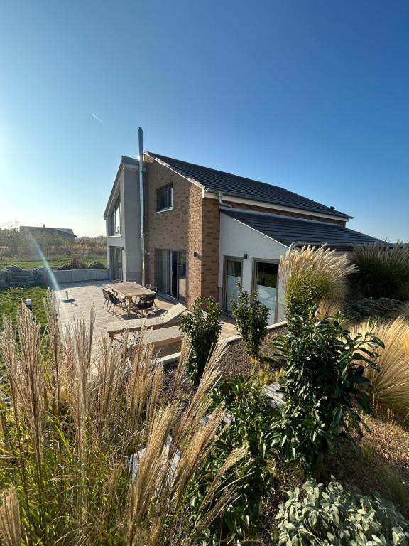 una casa con patio frente a ella en Ferienresort - idyllisches Ferienhaus mit Privatstrand und Sauna in der Nähe von Leipzig #HausMaja, en Löbnitz
