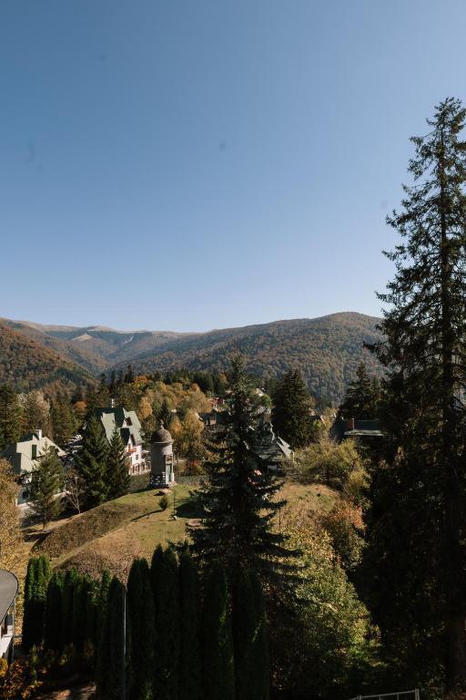 Hotel Marea Neagra - Resim 12