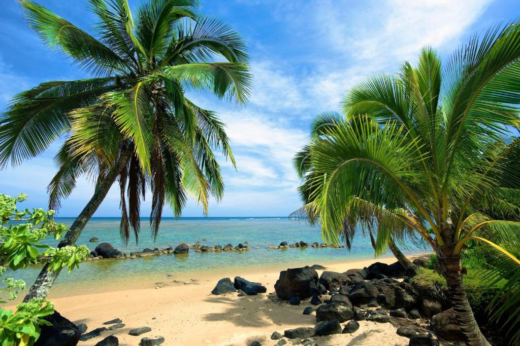two palm trees on a beach with the ocean at Paniolo 204B in Princeville