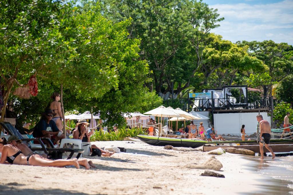Mejores Hoteles en Isla Grande | Islas del Rosario 607701680