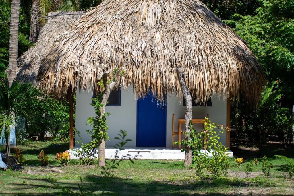 Mejores Hoteles en Isla Grande | Islas del Rosario 607701723