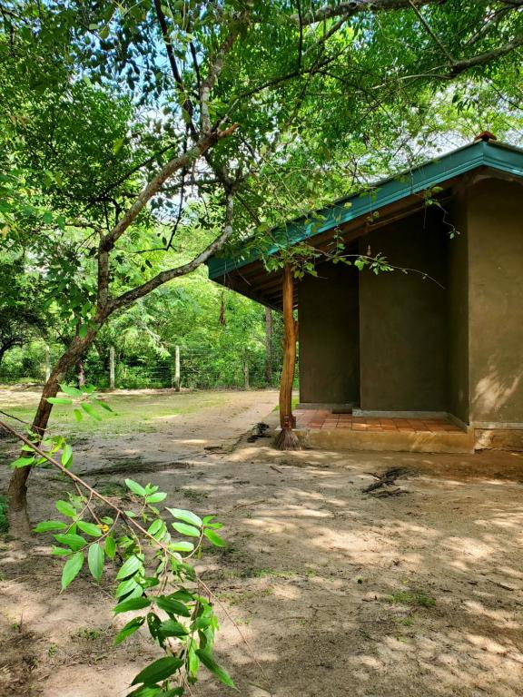 Zahrada ubytování Clay Hut Village