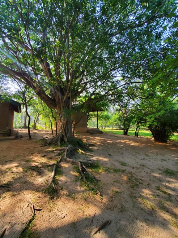 Fotografie z fotogalerie ubytování Clay Hut Village v destinaci Polonnaruwa