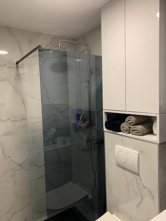 Kopalnica v nastanitvi Urban Apartman-privatan parking-