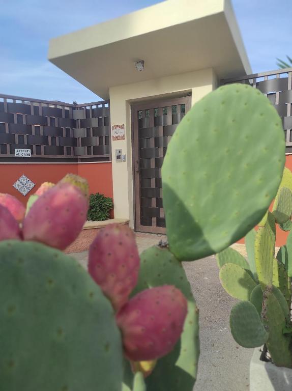 Villa Emilia - Housity
