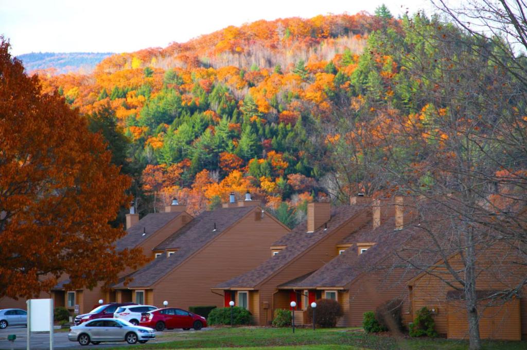 a group of houses in front of a mountain at Cold Spring Plymouth Resort in Ashland