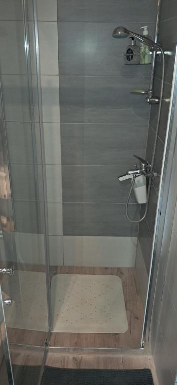 Kúpeľňa v ubytovaní Przy Amfiteatrze