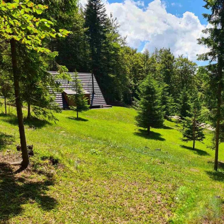 Priroda u blizini vikendice