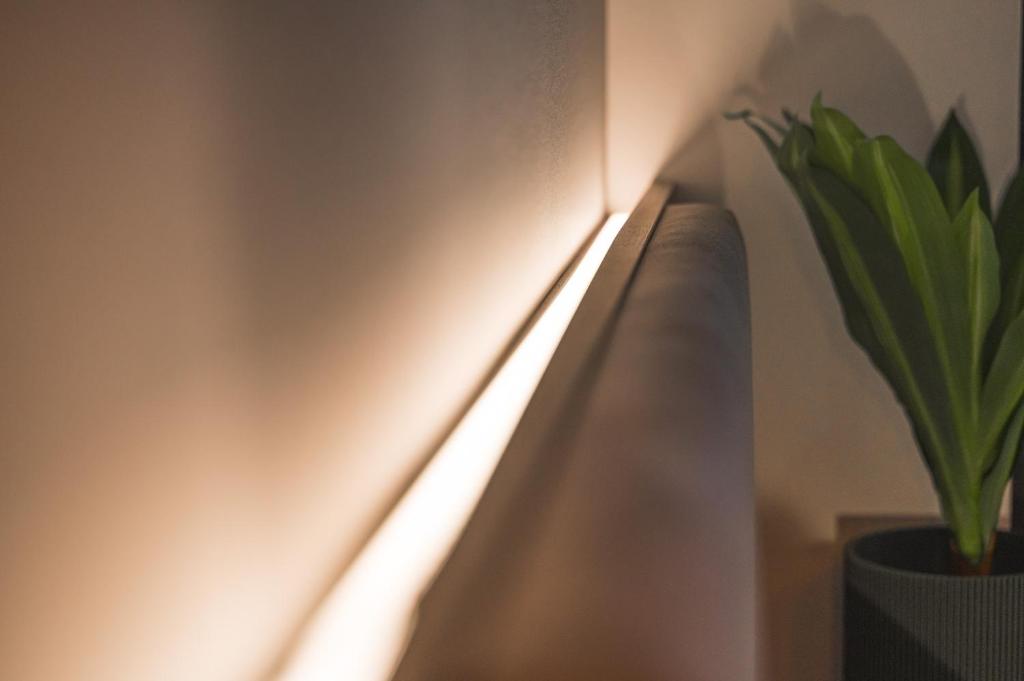 JUNGLE No5 Boutique Hotel - Stuttgart City-Center - Resim 39