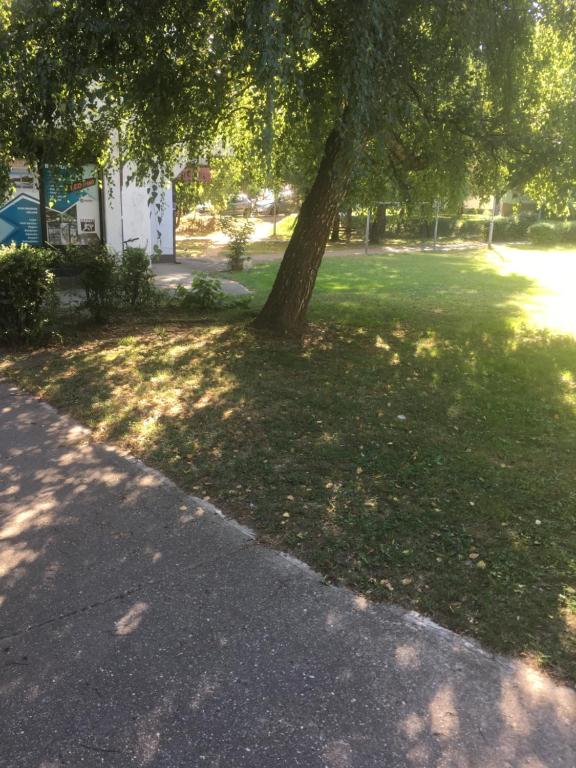 Zahrada ubytování ENA apartman