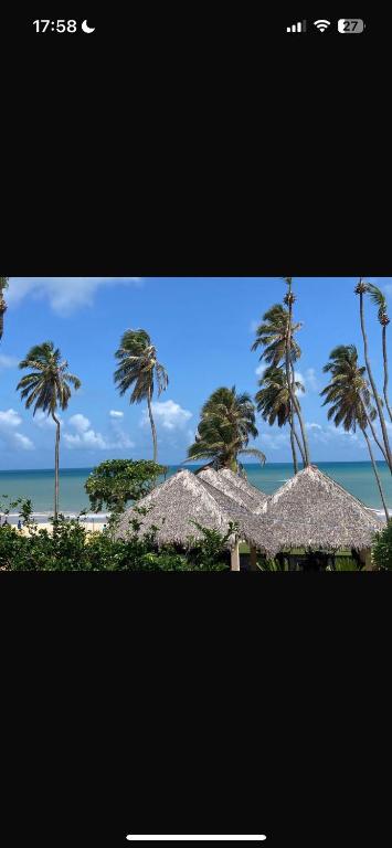 a picture of a beach with palm trees and straw umbrellas at Eco Paradise Cumbuco 128 in Cumbuco