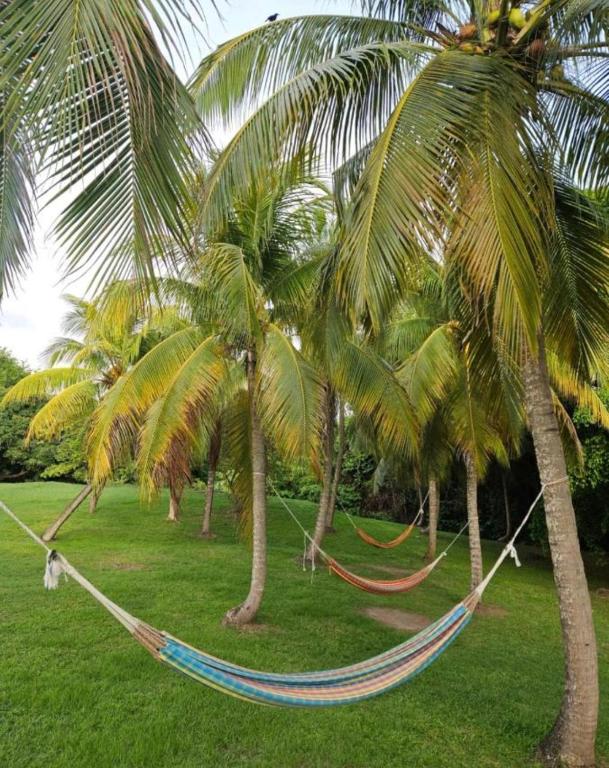 Zahrada ubytování Couleur caraïbes-Ti créole appartement pierre et vacances accès plage et piscine