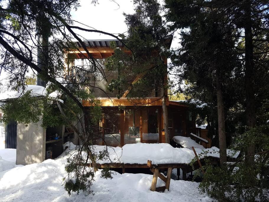 Casa moderna en el bosque v zimě