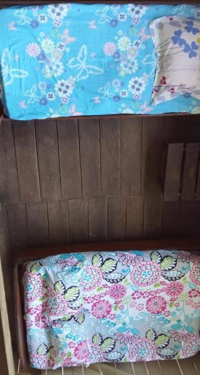 Atacuari Salvaje Tours Amazonas