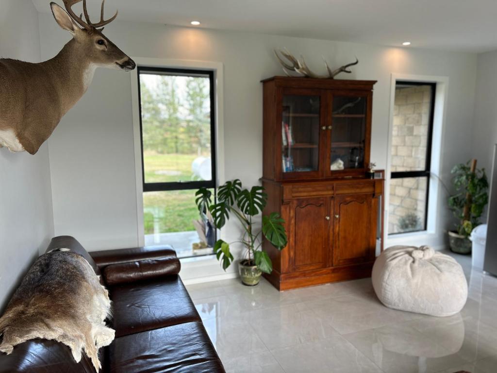 Tarras Serenity Haven - Mountain Views and Calm的休息区