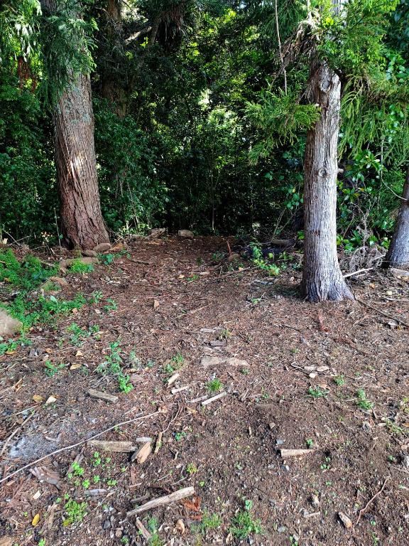 Keriwin House - Resim 25