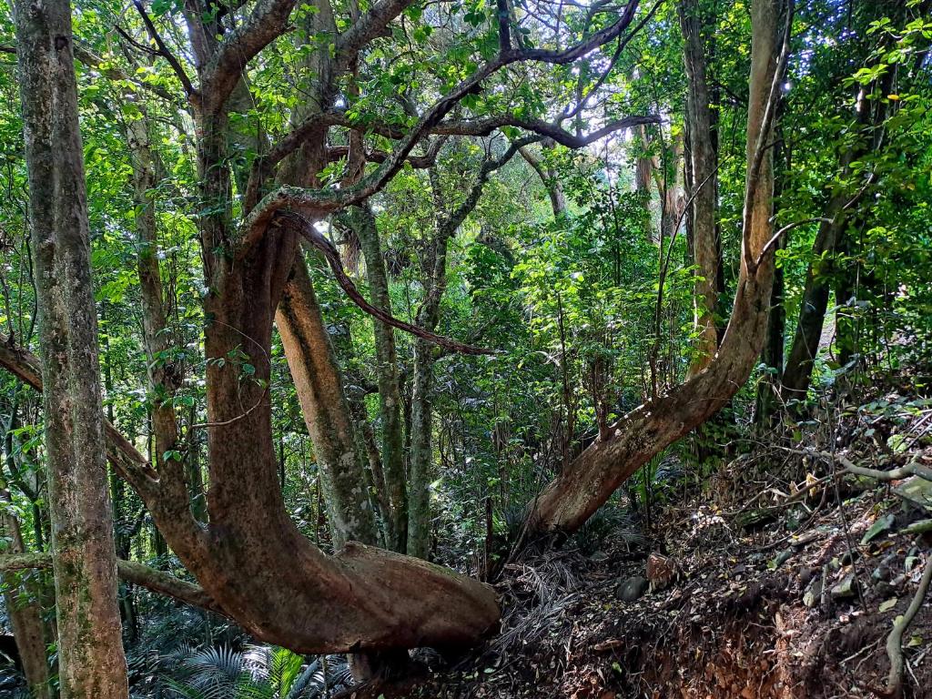 Keriwin House - Resim 29