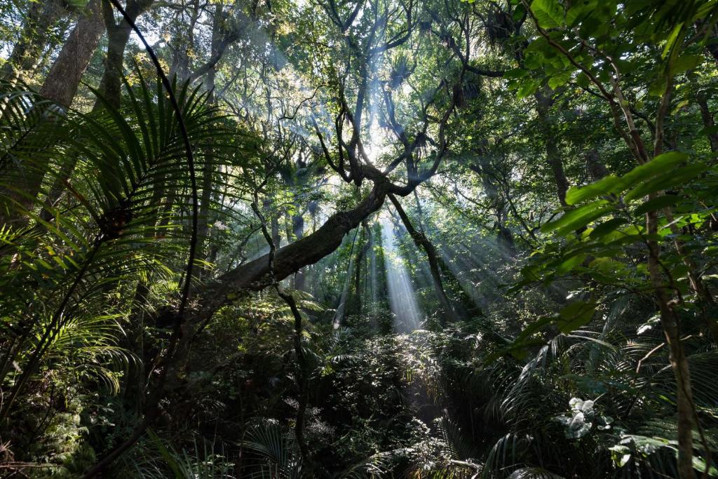 Keriwin House - Resim 30