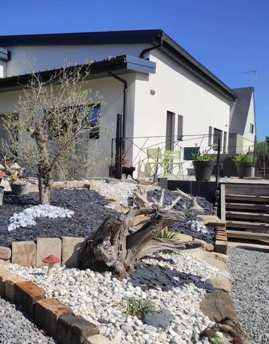 un jardin avec un arbre tombé en face d'une maison dans l'établissement Studio Mado proche centre ville questembert, à Questembert