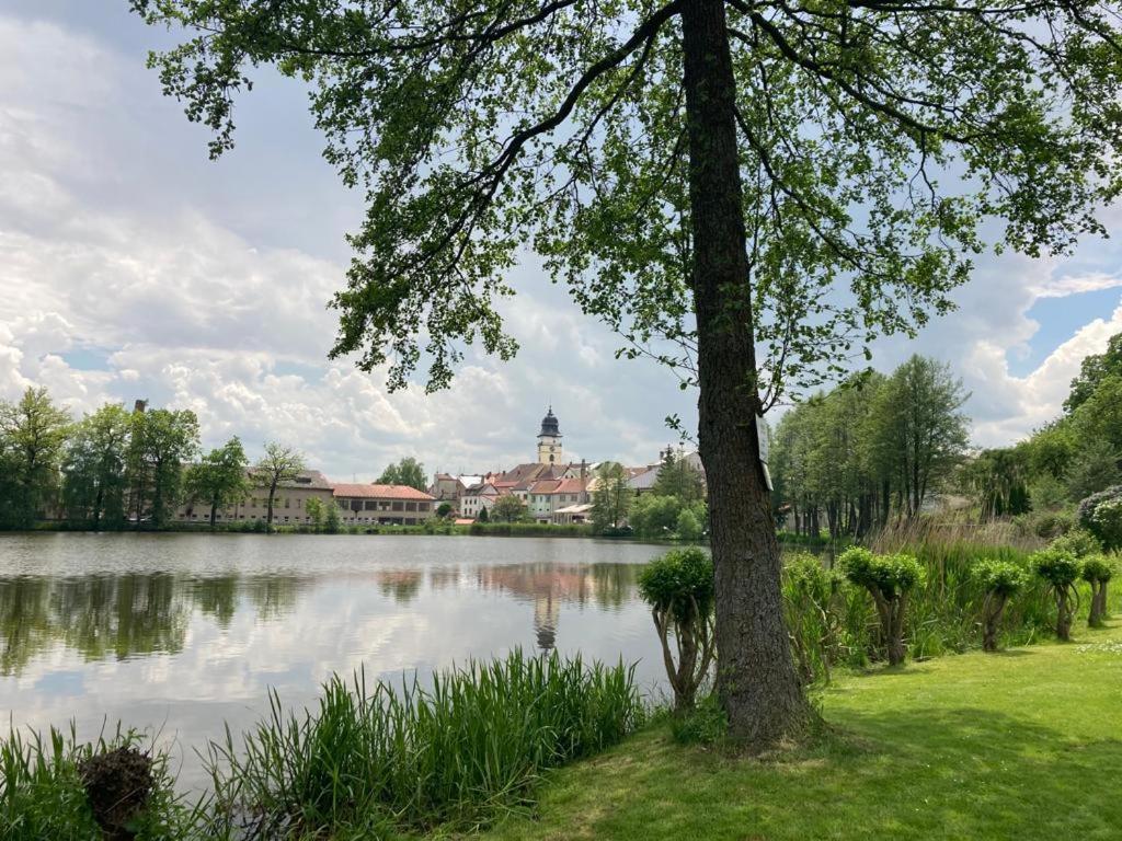 Příroda nedaleko motelu