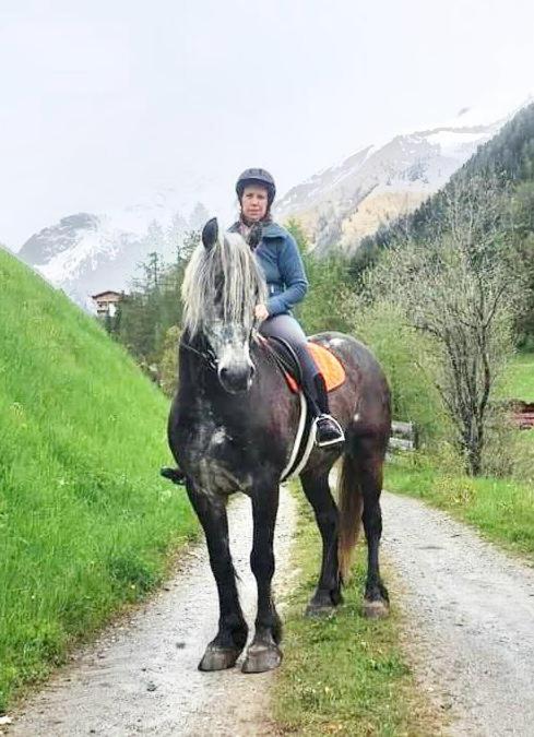 Zvířata v apartmánu nebo okolí