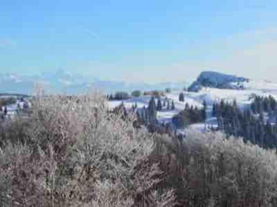 Paesaggio naturale nelle vicinanze dello chalet