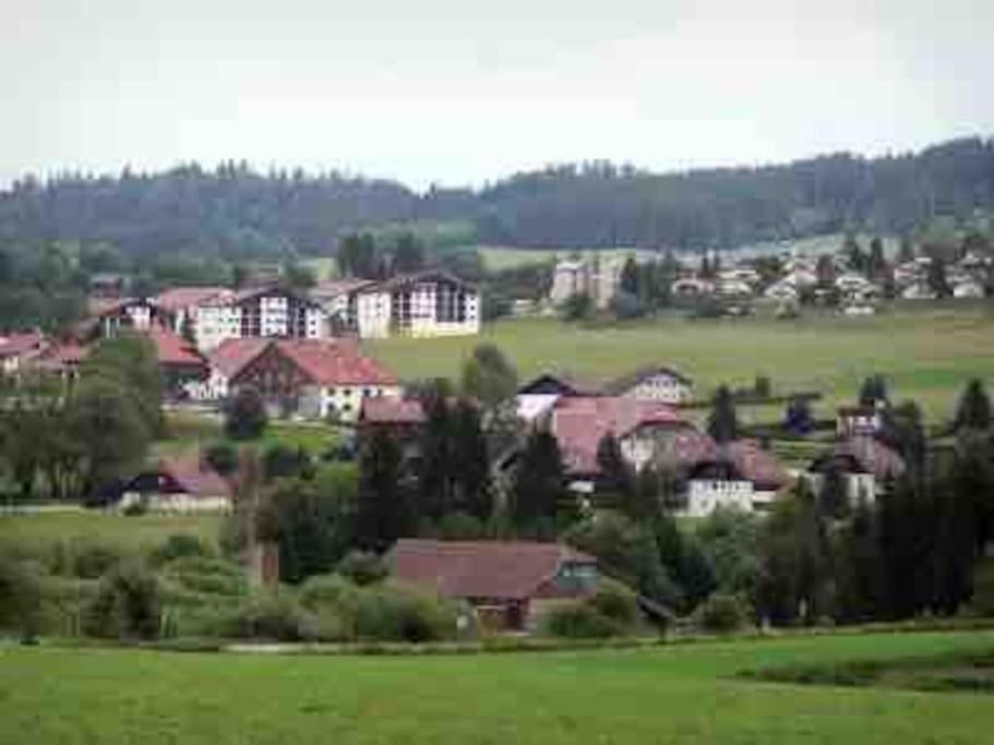 Paesaggio naturale nelle vicinanze dello chalet