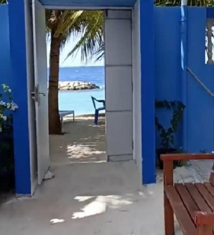 Příroda nedaleko hostelu