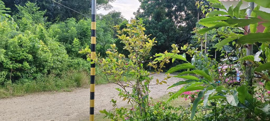 Zahrada ubytování RM Homestay