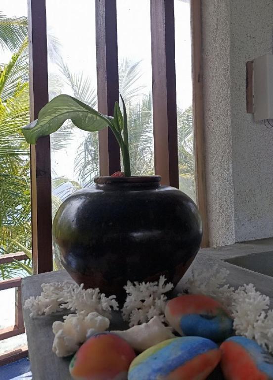 Fotografie z fotogalerie ubytování Kendhoo holidays v destinaci Kendhoo