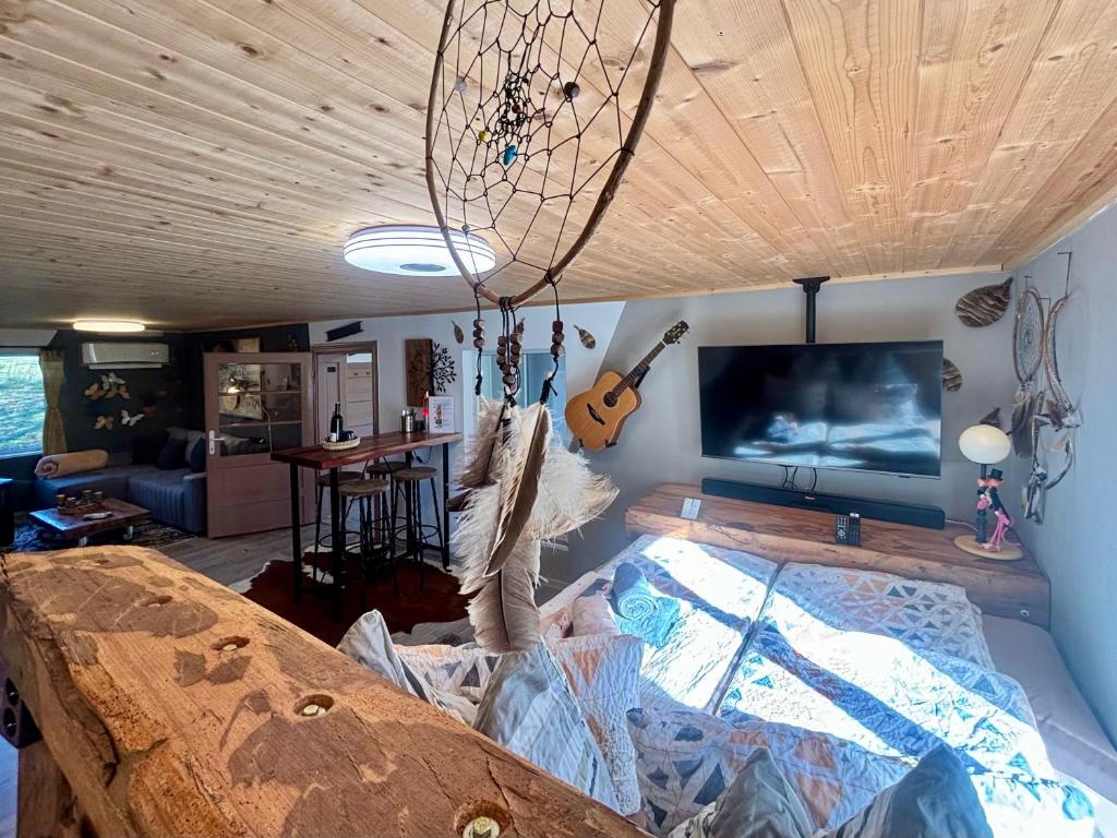 TV a/nebo společenská místnost v ubytování Little Dreamcatcher in Vadu Crisului Tomnatic Bihor Apuseni
