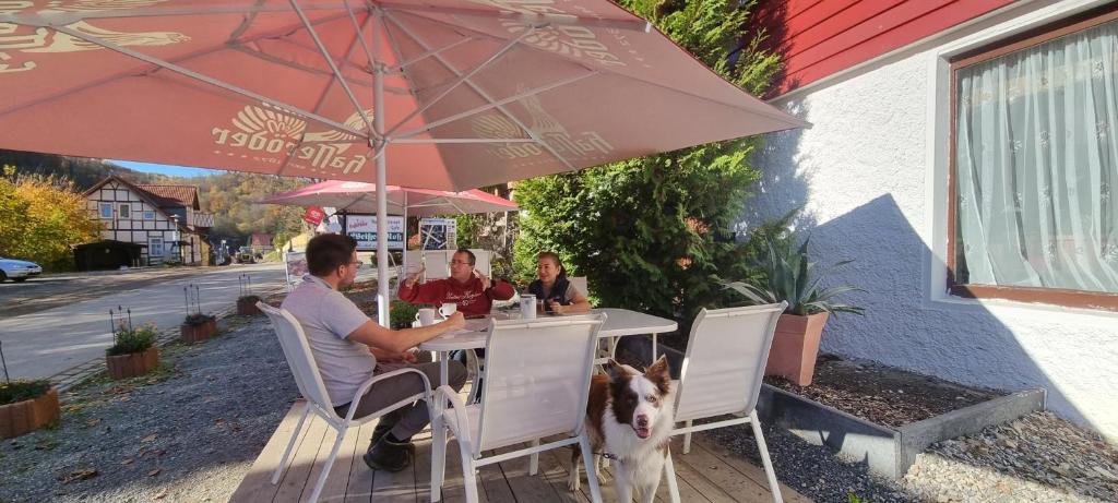Fotografie z fotogalerie ubytování Hotel Weißes Roß v destinaci Altenbrak