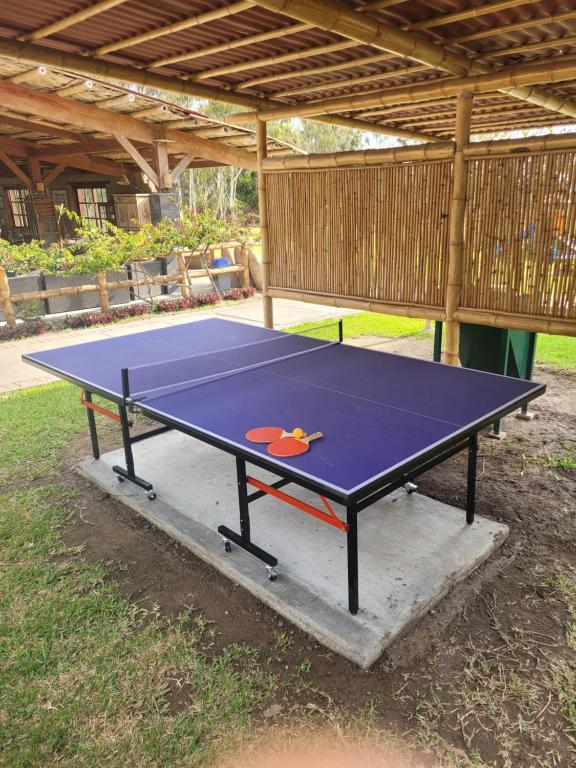 Bungalows de Casa Verde