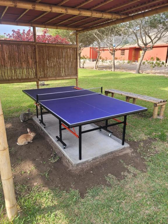 Bungalows de Casa Verde