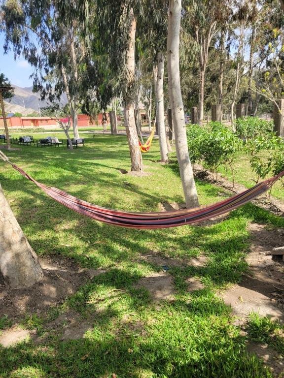 Bungalows de Casa Verde