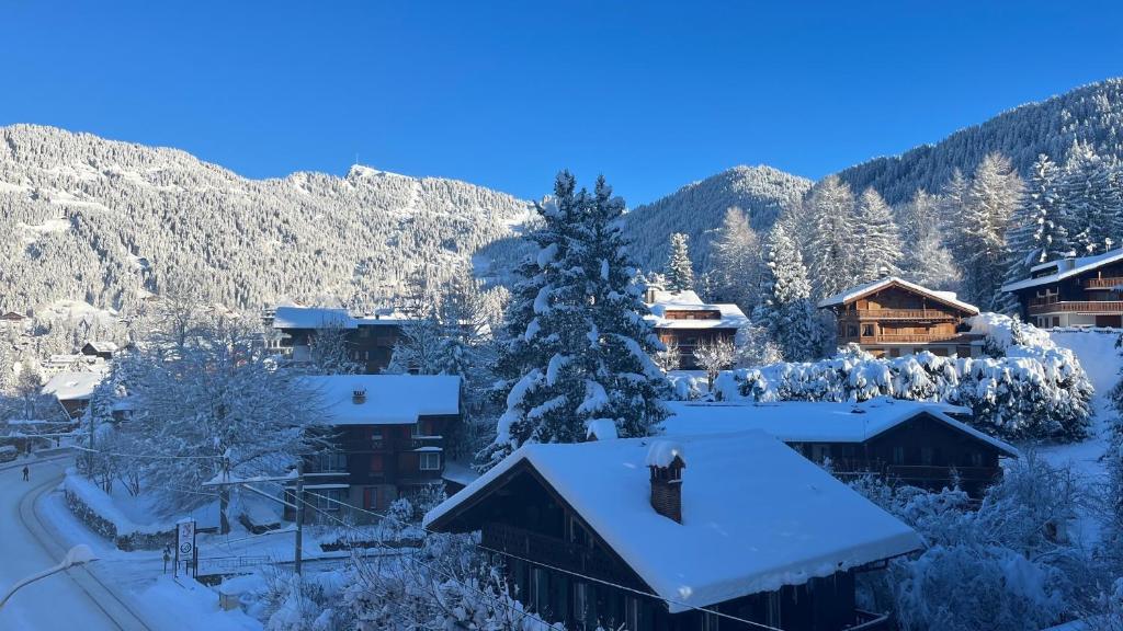Le Bristol - Villars Bristol Apartments - Studio 2 Mensen 345C (zonder Balkon)