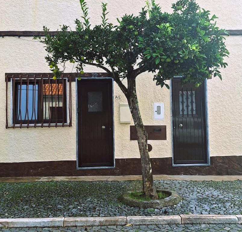a tree in front of a building with a door at Cantinho da Casa in Avis