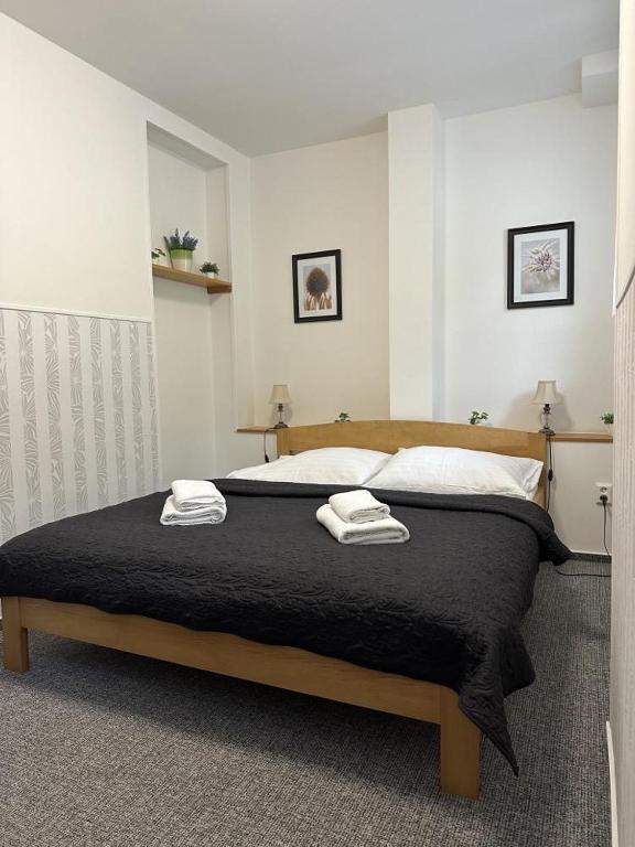 penzion Vysoká Stráž - 2